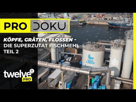 TEIL 2: Köpfe, Gräten, Flossen - Die Superzutat Fischmehl | 12ft PRO Dokumentation | Karpfenangeln