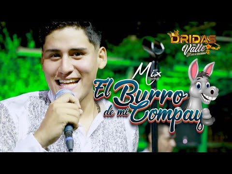 DRIDAS DEL VALLE - MIX EL BURRO DE MI COMPAY - VIDEO OFICIAL 2024