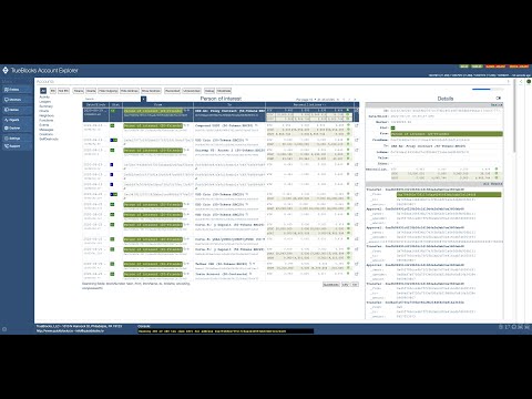 Short Progress Video of TrueBlocks