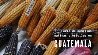 preview picture of video 'Feria nacional de semillas nativas y criollas // VSF Guatemala'