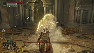 Elden Ring PC Godfrey, First Elden Lord ゴッドフレイ攻略 2022 0518 0021