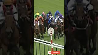 REGAL PARADE Wins Haydock Sprint Cup 2009  #horselifevd #horserace #horseracing