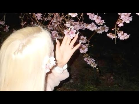 extreme wish granter ⟡ turn all desires into reality