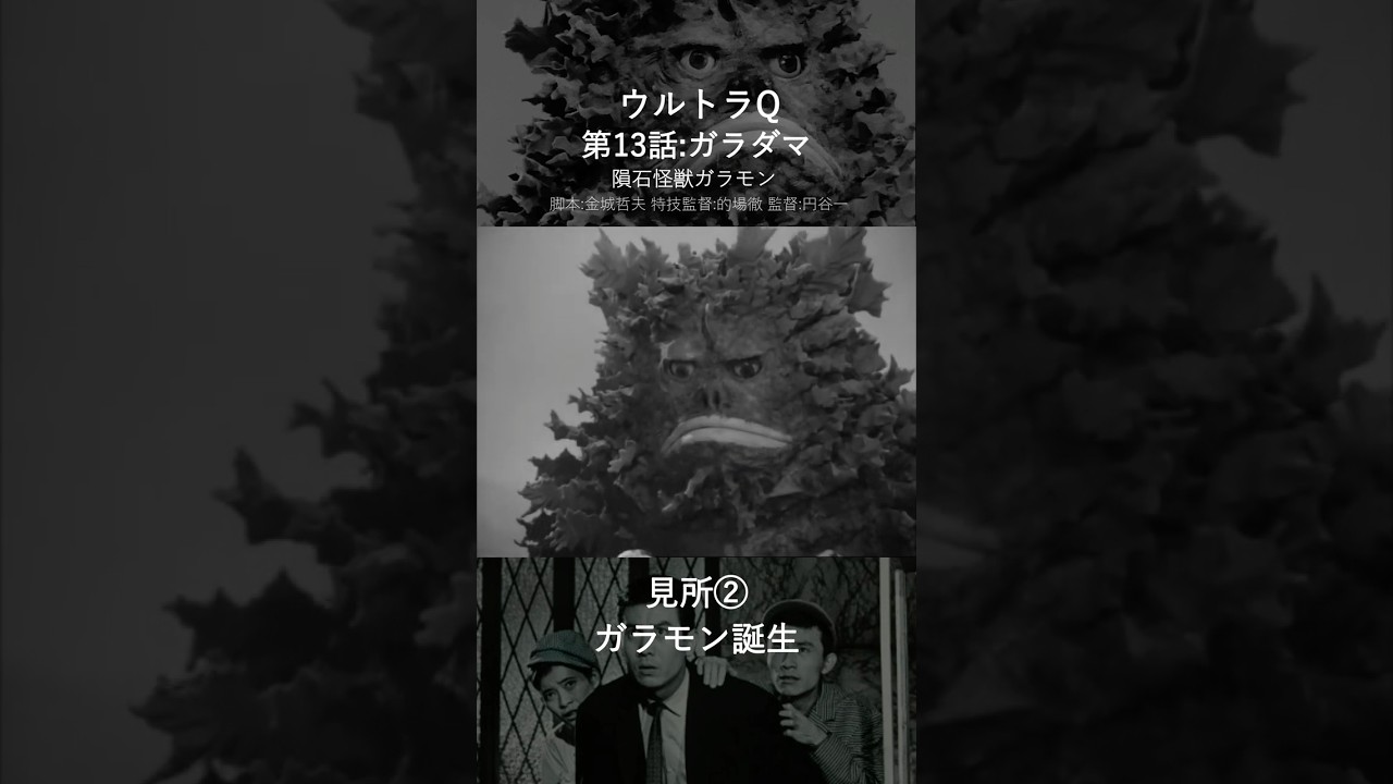 ウルトラQ第13話【30秒ダイジェスト】 #ウルトラq #怪獣 #怪獣図鑑 #特撮 #ウルトラマン #ウルトラq30秒ダイジェスト #ultraq #ultraman #kaiju