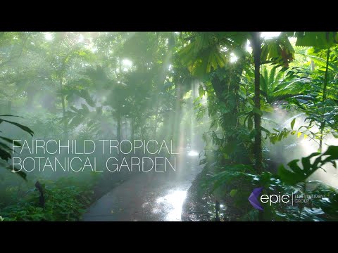 Fairchild Tropical Botanic Garden