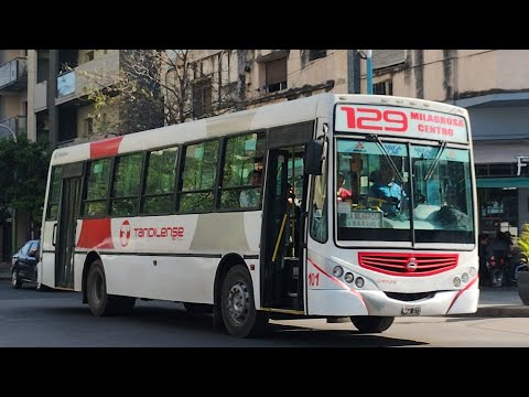 Compilado de Colectivos por Tucumán - Agosto/Septiembre 2024