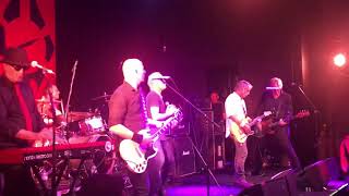 What Gives - Radio Birdman