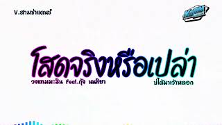 โสดจริงหรือเปล่า – วงแทมมะริน ft.กุ้ง นนทิยา