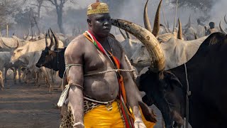 Download lagu New Hit Dergel Song Xen Cie Yien Malou By Laat Magot mp3