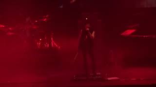 The Zen Circus -   L&#39; Amore è Una Dittatura - Live - Paladozza Bologna -12/04/2019