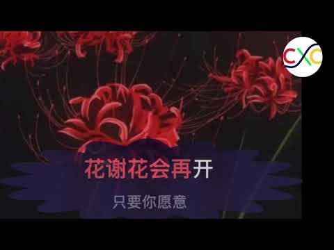 花心--卡拉ok--huaxin
