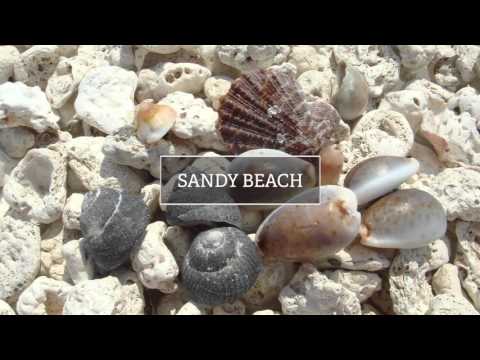 Shimoda Prince Hotel Introduction Video - Shimoda Prince Hotel