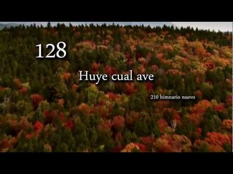 128 Huye cual ave (210)