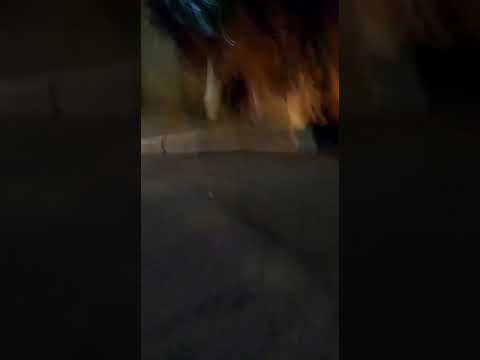 Aquele jet com a moto do seu tio PARECEIRO MIL GRAU GRAVANDO🔛✔