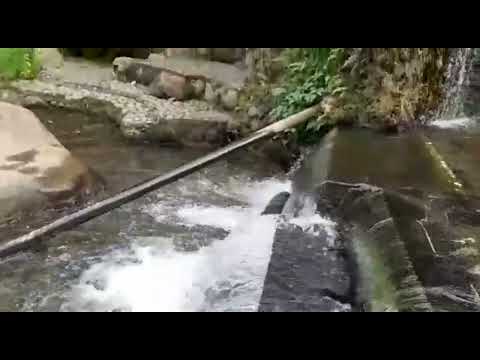 Kee 372 : 1,3 ( Puji Tuhan Si Badia )