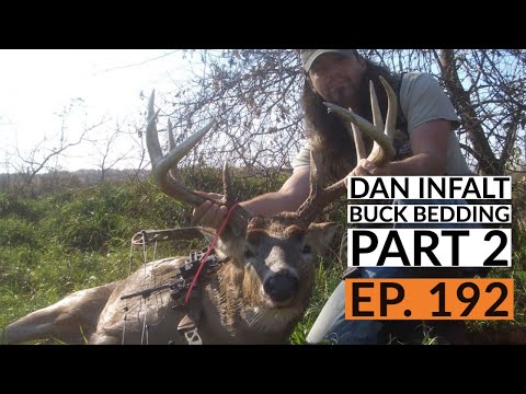 EP. 192: Hunting Beast Listener Q/A - Buck Bedding Part 2