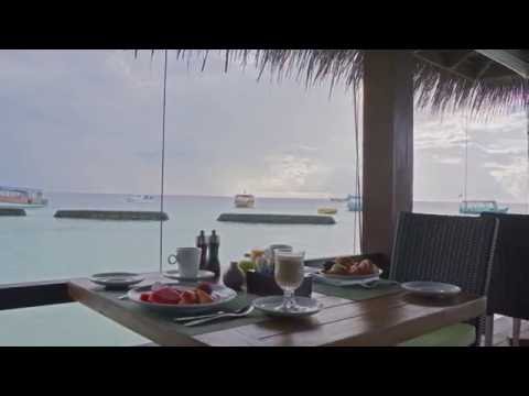 Videos del Constance Moofushi 5★ en Himandhoo, MaldivasVer MásVerPrecios18CerrarConsulta por Whatsapp 🇦🇷BookingTripadvisorExpediaAgodaTravelocityOrbitzPricelineTripSkyscannerDespegarKayakHotelesDestiniaTrivagoTurismocityLastminuteTuiWotif