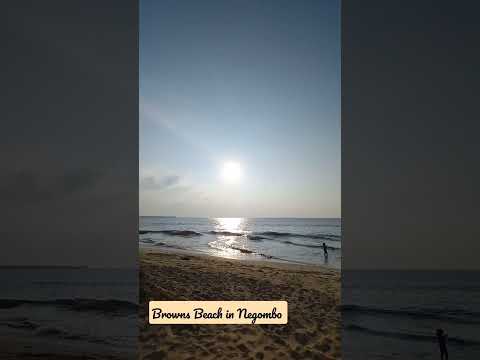 Beautiful 😍 scenes in Negombo  Browns  Beach.