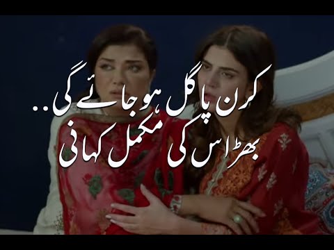 Bharaas Episode 49 | Bharaas Last Episode | Ary Digital |