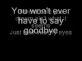 Def Leppard- Goodbye (Lyrics)