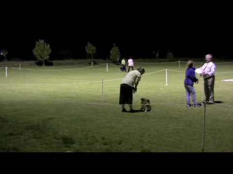 Kaylene and Candy - 20 Feb 2010  Open Obedience