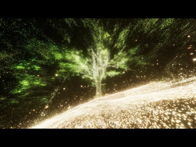 Este no es tu jardín - trailer | IFFR 2025