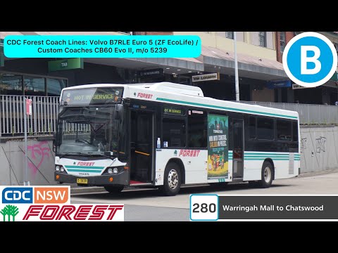CDC Forest Coach Lines: Volvo B7RLE Euro 5 (ZF EcoLife) / Custom Coaches CB60 Evo II, m/o 5239
