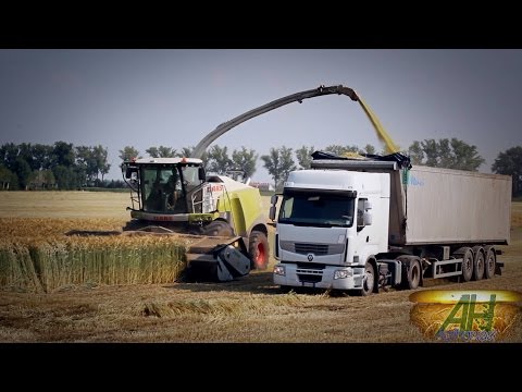 New Claas Jaguar 980 (2015) at work with Domai MPD 611 |SILAGE SEASON 2015|