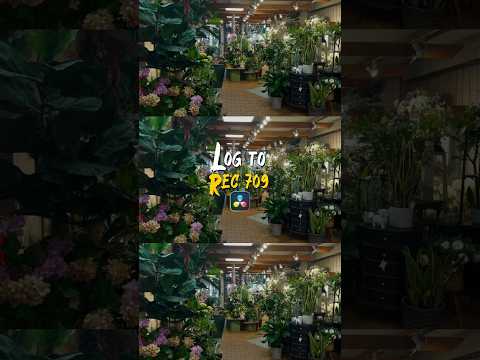 Apple LOG to Rec709 in DaVinci Resolve