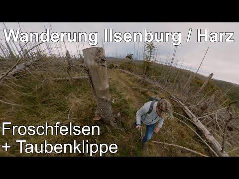 Wandern Ilsenburg im Harz / Stempelstellen der Harzer Wandernadel -  Froschfelsen und Taubenklippe