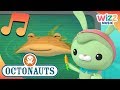 Animals In The Ocean Songs For Kids Octonauts Wizz Music