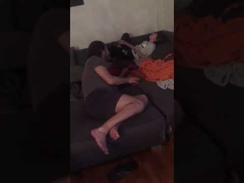 Jurassic Home - battaglia tra dinosauri