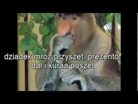 nosacz wigilia napisy