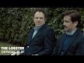 The Lobster | The Fight | Official Clip HD | A24