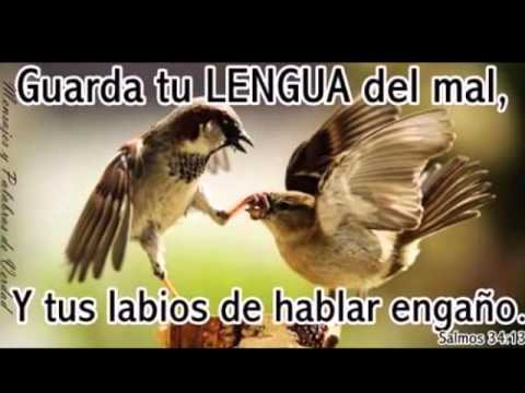 download lagu mp3 mp4 Paz De Espiritu, download lagu Paz De Espiritu gratis, unduh video klip Paz De Espiritu