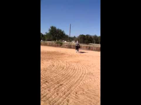 Ninety Nine Chances For Sale