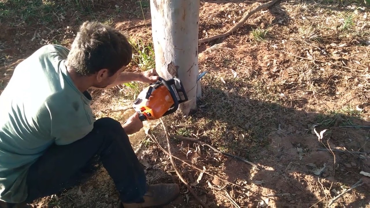 Testando a motosserra stihl 180