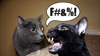 Talking Kitty Cat - Homies For The Holidays