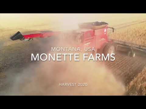 Monette Farms, Winter Wheat Harvest 2020. Montana, USA!