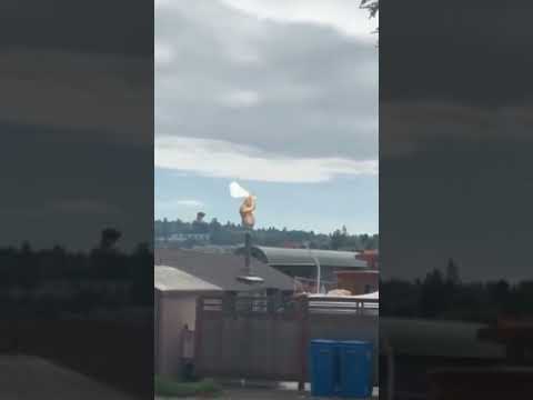 OGRE LORD vs SCOURGE in real life