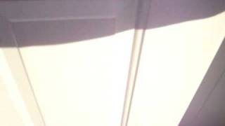 Dog wipes his feet when he comes inside