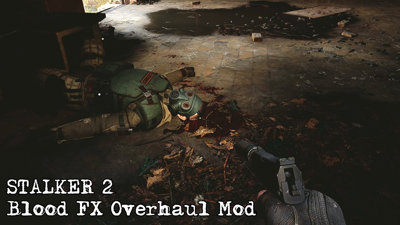 S.T.A.L.K.E.R. 2 - BloodFX Overhaul mod