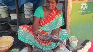 Bantumilli market lo Rani Ruffchand chepanu ella subram chestundo chudamdi 🐠🐠🐠🐠🐠