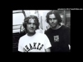 The Inbreds - Thin