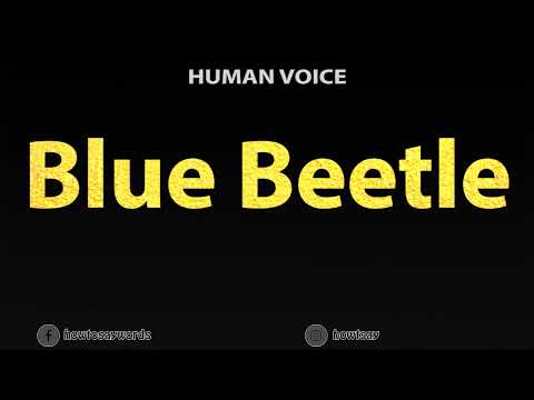 How To Pronounce Blue Beetle