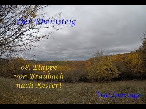 Rheinsteig 08. Etappe