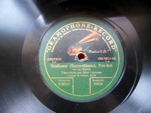 (1921) Fox Trot - Tanz Orchester