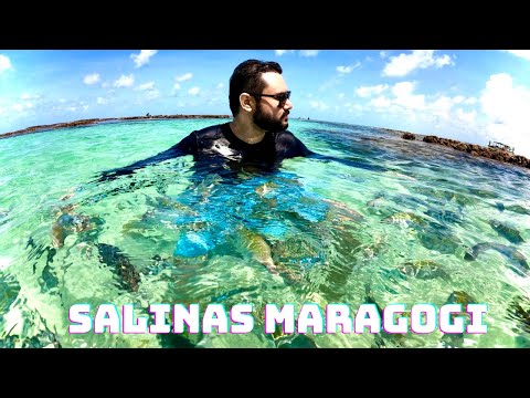 Videos del Salinas Maragogi Resort 5★ en Maragogi, BrasilVer MásVerPrecios20CerrarConsulta por Whatsapp 🇦🇷BookingTripadvisorExpediaAgodaTravelocityOrbitzPricelineTripSkyscannerDespegarKayakHotelesBestdayDestiniaTrivagoTurismocityAlmundoLastminuteHotwireWotif