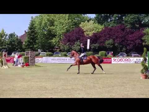 Caracho 18 Elmshorn Springpferde M 1. Umlauf Ebba Johansson 14.06.2017