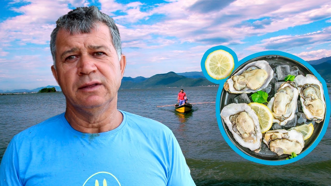 Como é feito o cultivo de Ostras e mariscos